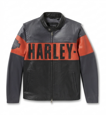 Harley Davidson Iron Horizon | Legacy in Motion